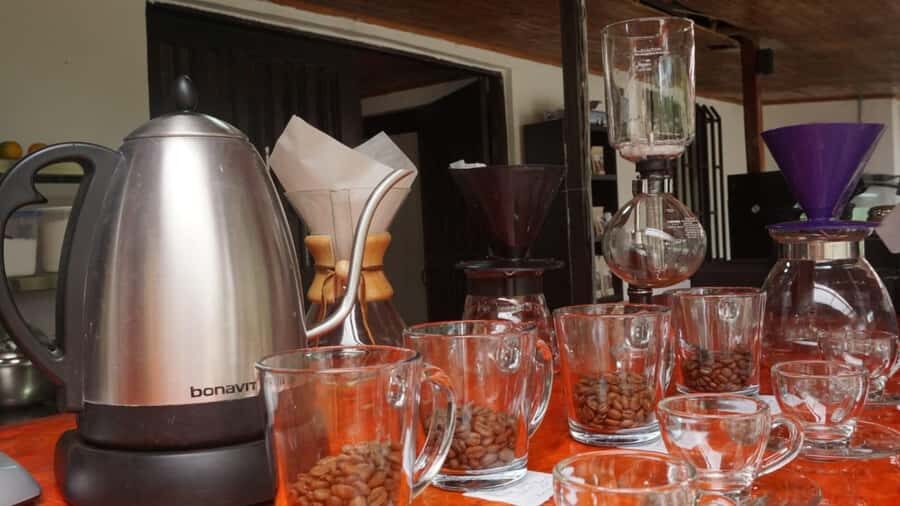 Salento: Coffee Master Roasting, Brewing and Tasting Tour - Roasting Your Own 2 kg: The Part That Makes Everything Click