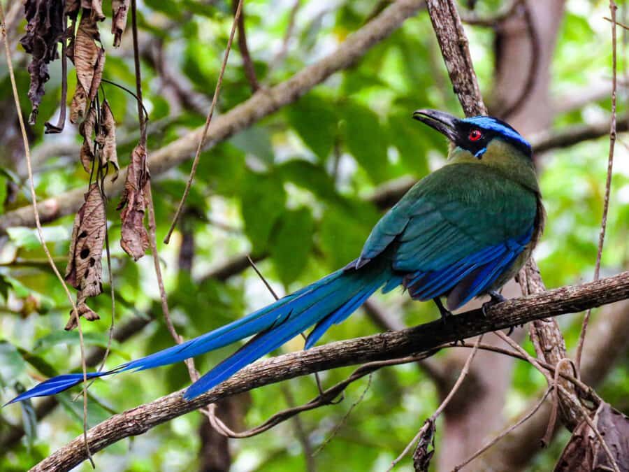 Salento: hike to learn about Birds - Key points worth knowing before you go