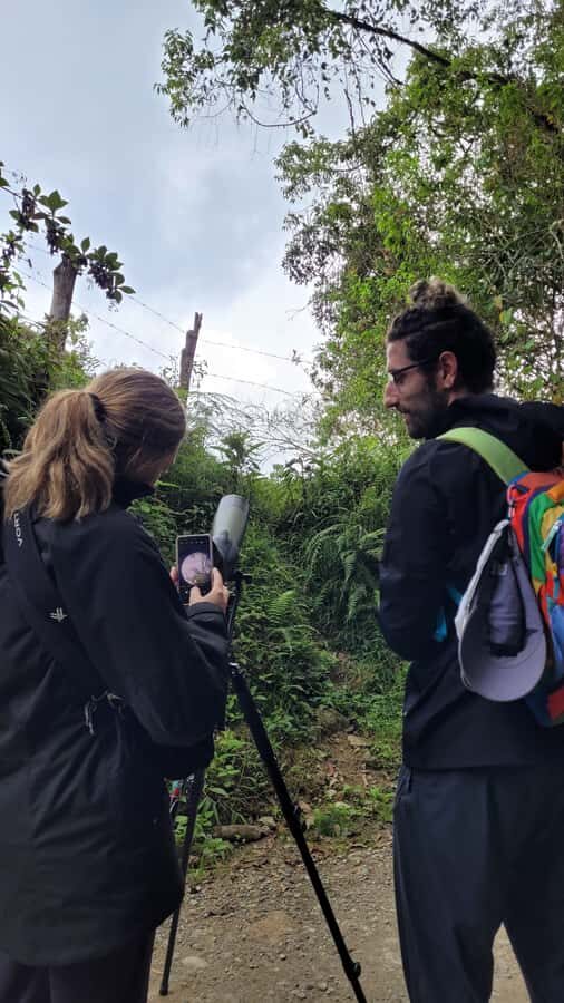 Salento: hike to learn about Birds - Where the morning starts in Salento (and why the options matter)