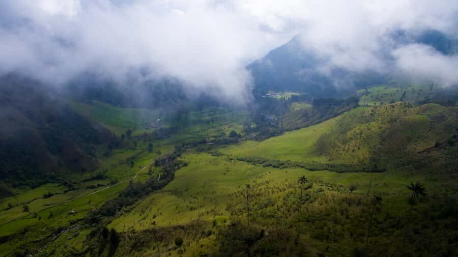 Salento/Pereira: Cocora Valley & Salento Hiking Private Tour - The 6-hour rhythm: pickup from Armenia to viewpoints in the valley