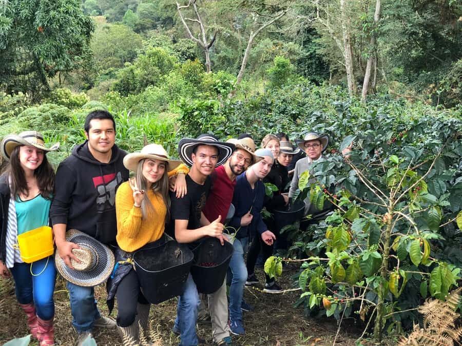 Salento: Private Cocora Valley, Salento & Coffee Farm Tour - First Stop: Getting to the Cocora Valley entrance with a private guide