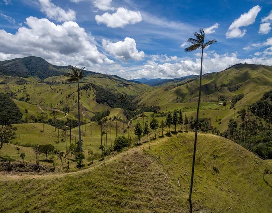 Salento: Private Cocora Valley, Salento & Coffee Farm Tour - FAQ
