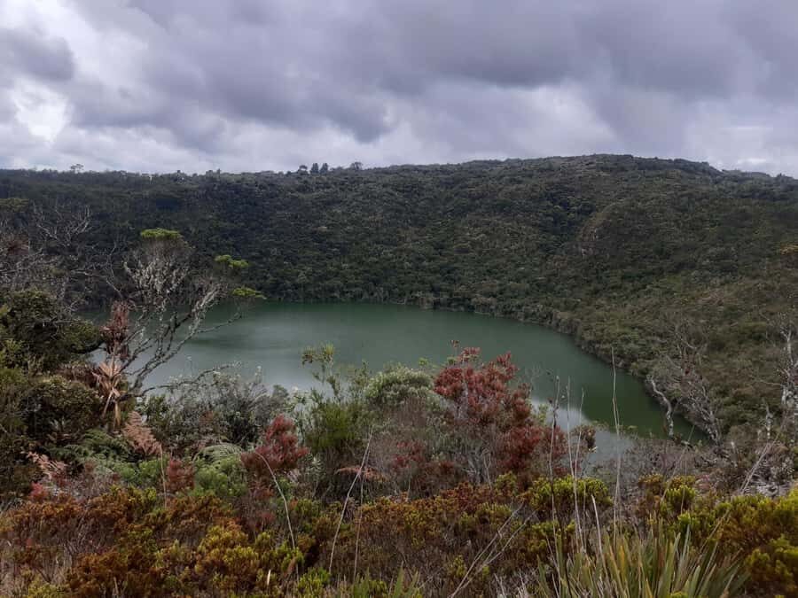 Salt Cathedral and Guatavita Lake with Lunch and Guide - What the guide really brings: English/Spanish explanations that stick
