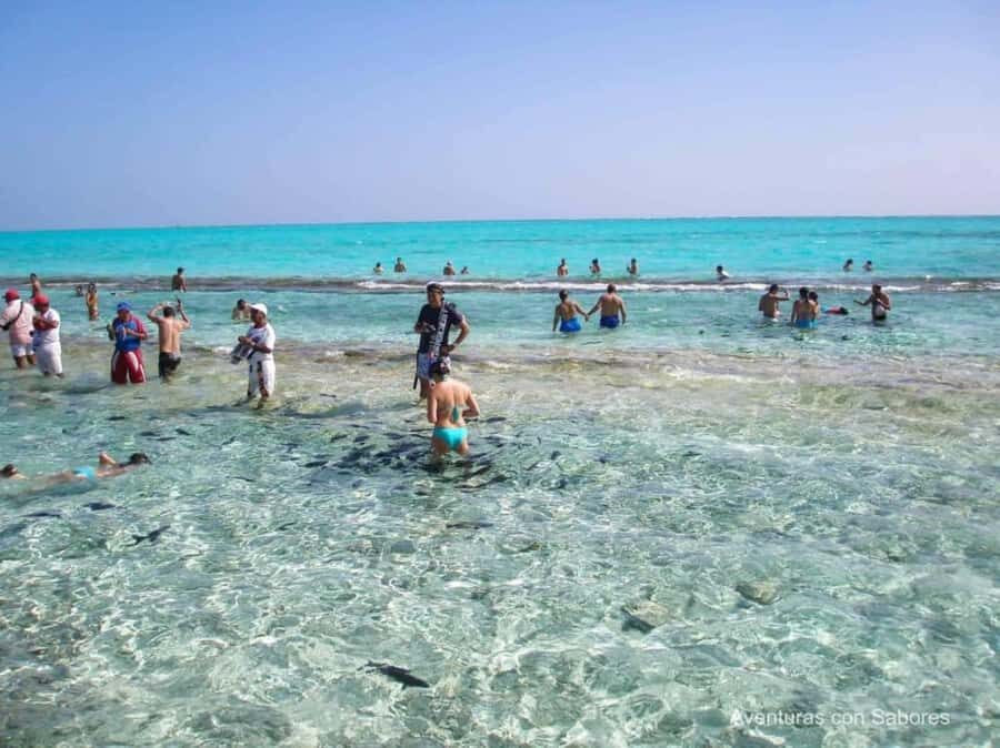 San Andres: Acuario Key Premium Tour - Guided mangrove tour at Parque Nacional Manglares de Old Point