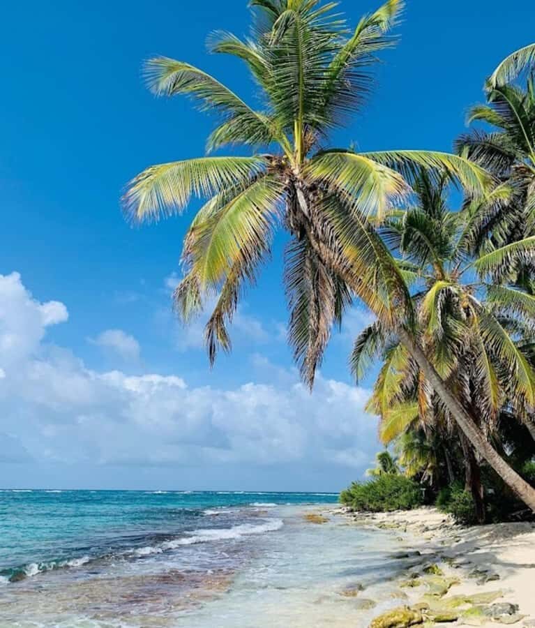 SAN ANDRES: BOAT TRANSFER + JOHNNY CAY - Muelle de la Policía Meet-Up: How to Start Smoothly