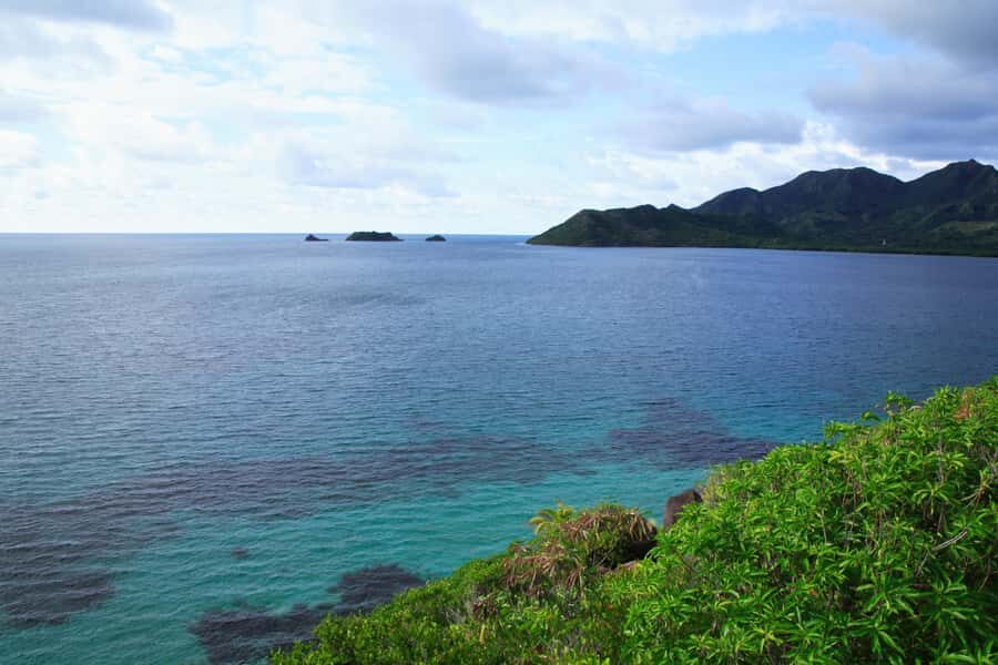 San Andrés: Guided Cays and Mangroves Tour - What You’ll Really Feel During the 7 Hours