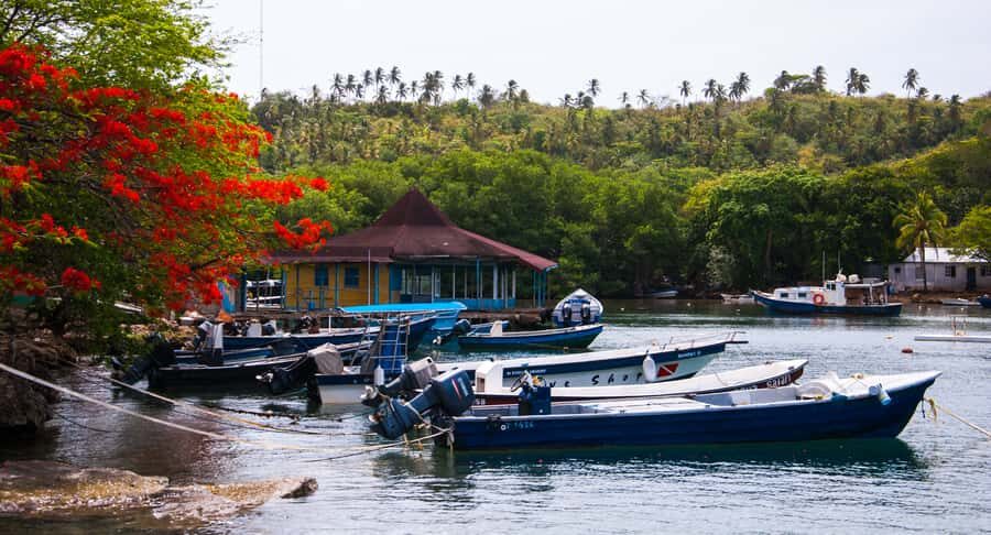 San Andrés: Guided Cays and Mangroves Tour - Old Point Mangroves: Quiet Channels and Small Wildlife Encounters
