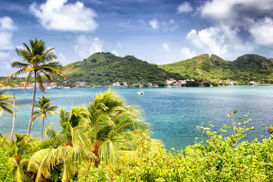 San Andrés: Guided Cays and Mangroves Tour - San Andrés in One Day: Why Johnny Cay, Rose Cay, and Mangroves Fit Together