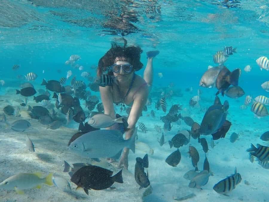 San Andres: Transfer by Boat + Natural Aquarium - The half-day you’ll spend on the aquarium key: time to snorkel and wander