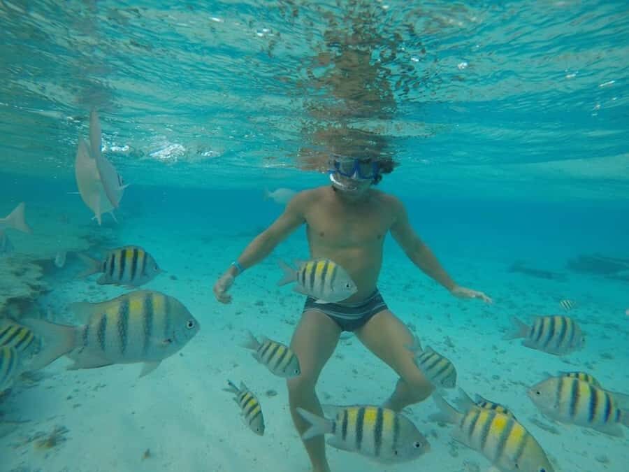 San Andres: Transfer by Boat + Natural Aquarium - Price and logistics: is $23 good value for what you get?