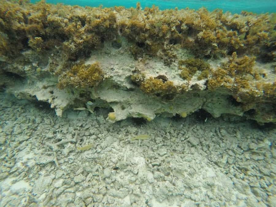 San Andres: Transfer by Boat + Natural Aquarium - FAQ