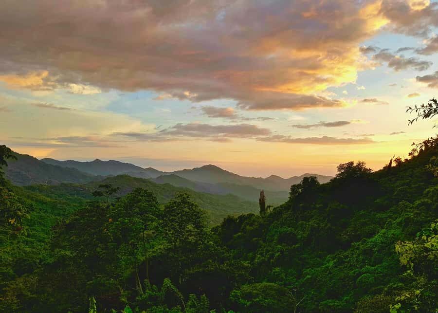 Santa Marta: Minca Coffee, Cocoa, & Waterfall Full-Day Trip - Cocoa workshop: make a chocolate bar, then taste it