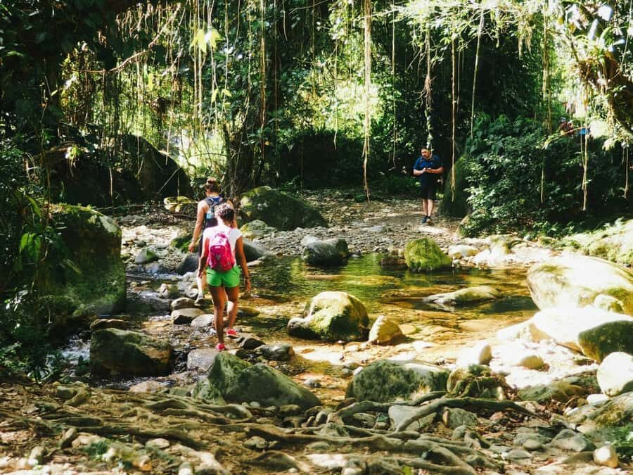 Santa Marta: Multi-Day Trek to The Lost City - Who should book this Lost City trek—and who should reconsider