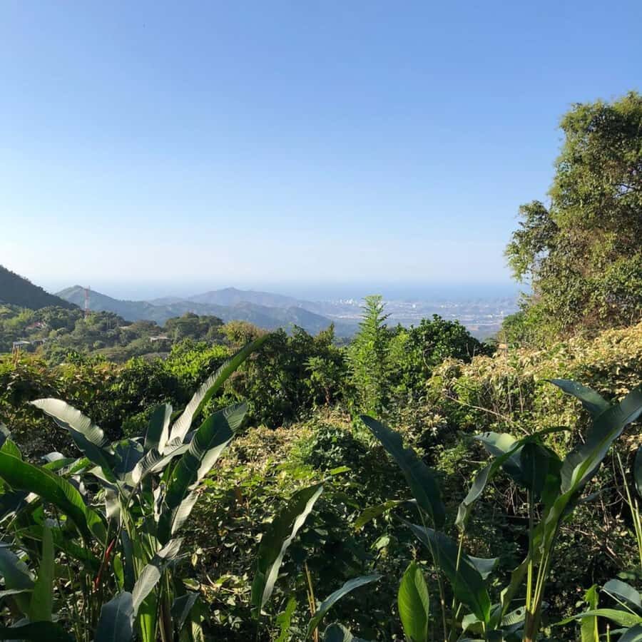 Santa Marta: Trekking in Minca Complete Waterfall Circuit - Plan B in Minca: why your hike may change mid-day