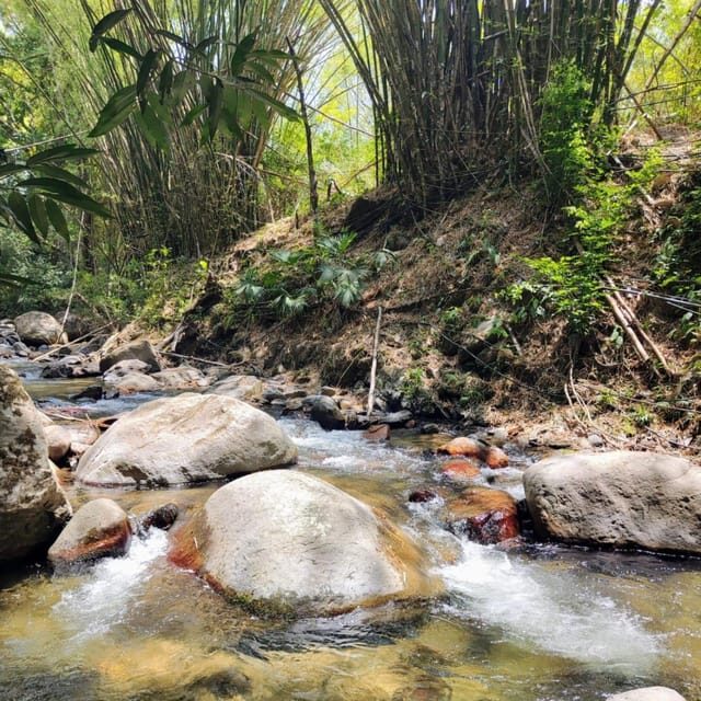 Santa Marta: Trekking in Minca Complete Waterfall Circuit - Practical gear and pacing for an 8 km medium-to-challenging trek