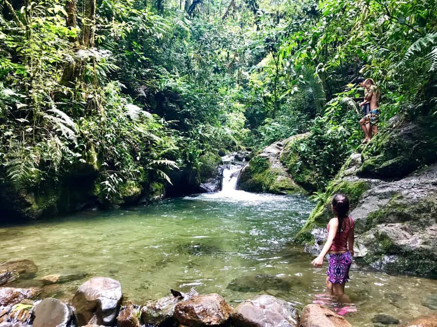 Santa Rita Waterfall and Salento Private Tour - Walking to Santa Rita Waterfall: Forest, Mud Roads, and Old Tunnels