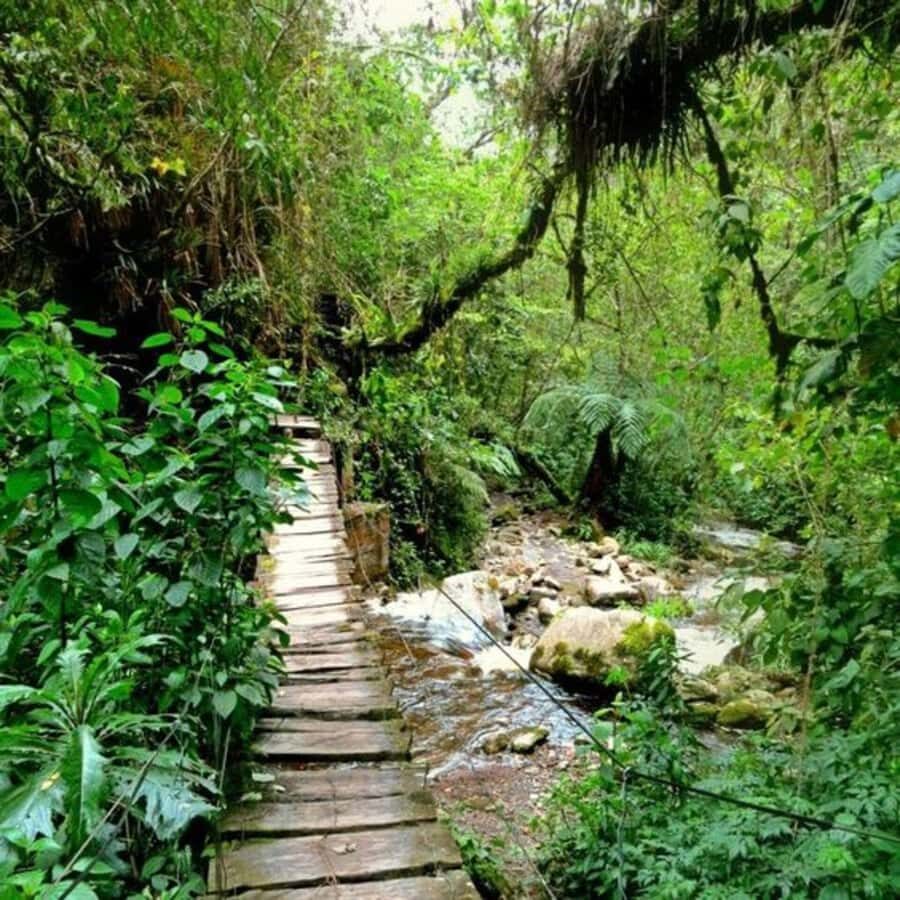 Santa Rita Waterfall and Salento Private Tour - Should You Book This Santa Rita and Salento Private Tour?