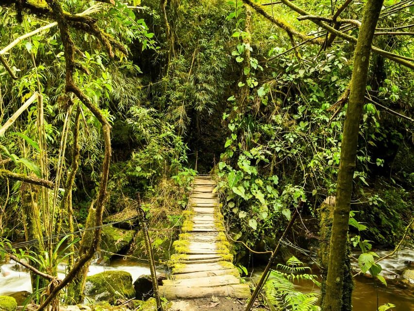 Santa Rita Waterfall and Salento Private Tour - FAQ
