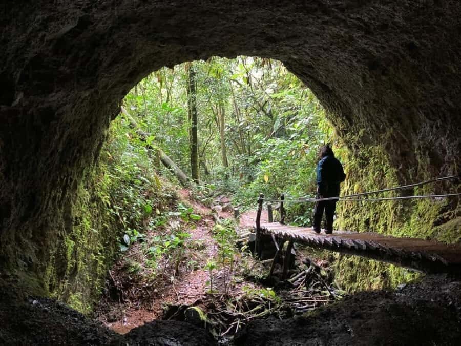 Santa Rita Waterfall and Salento Private Tour - The Coffee Triangle Lesson That Adds Meaning to the Hike