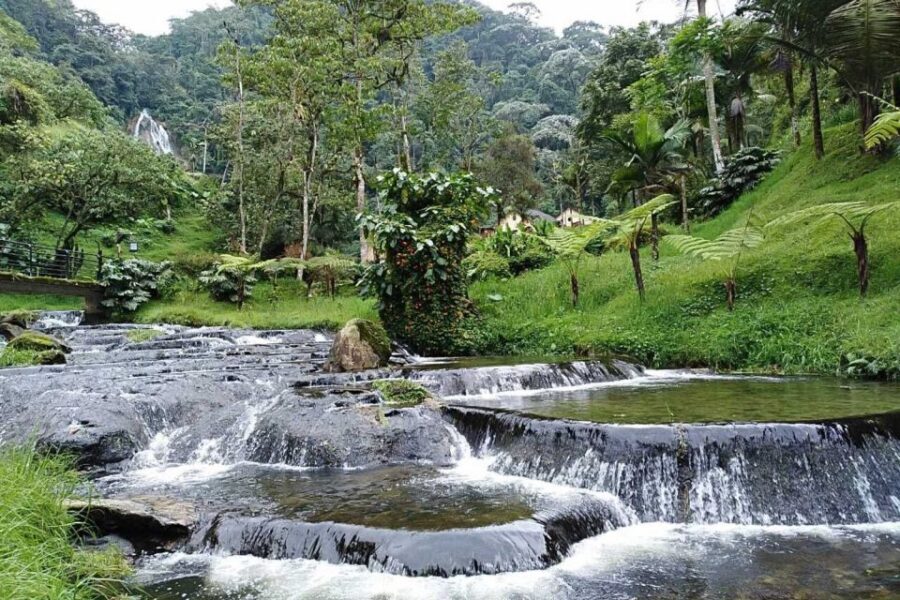Santa Rosa de Cabal Thermal Hot Springs - Santa Rosa de Cabal town stop: coffee-farmer life and a quick taste