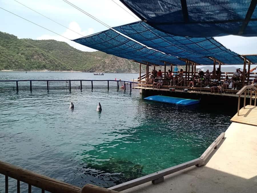 SANTAMARTA: Combo Daytour to Playa Blanca + Marine Aquarium & Lunch - Who this tour fits best (and who should skip it)