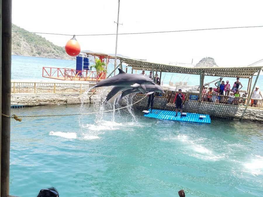 SANTAMARTA: TOUR Combo boat taxi, aquarium, lunch, and white sand beach - A 6-hour Caribbean hit from Puente Turístico El Rodadero