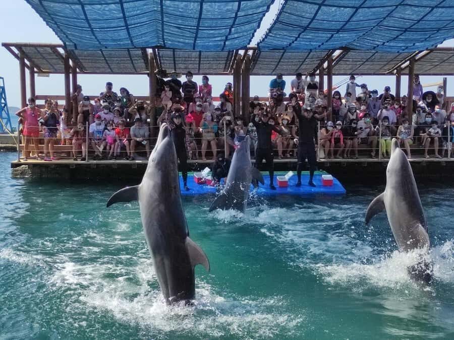 SANTAMARTA: TOUR Combo boat taxi, aquarium, lunch, and white sand beach - Playa Blanca time: lunch plus hours for swimming