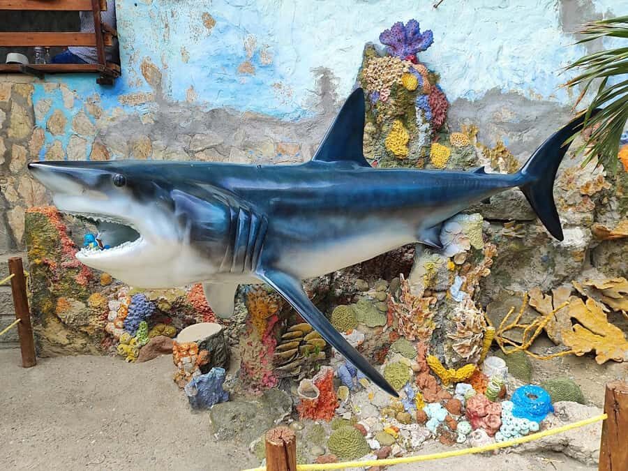 SANTAMARTA: TOUR Combo boat taxi, aquarium, lunch, and white sand beach - Practical tips so the day feels smooth