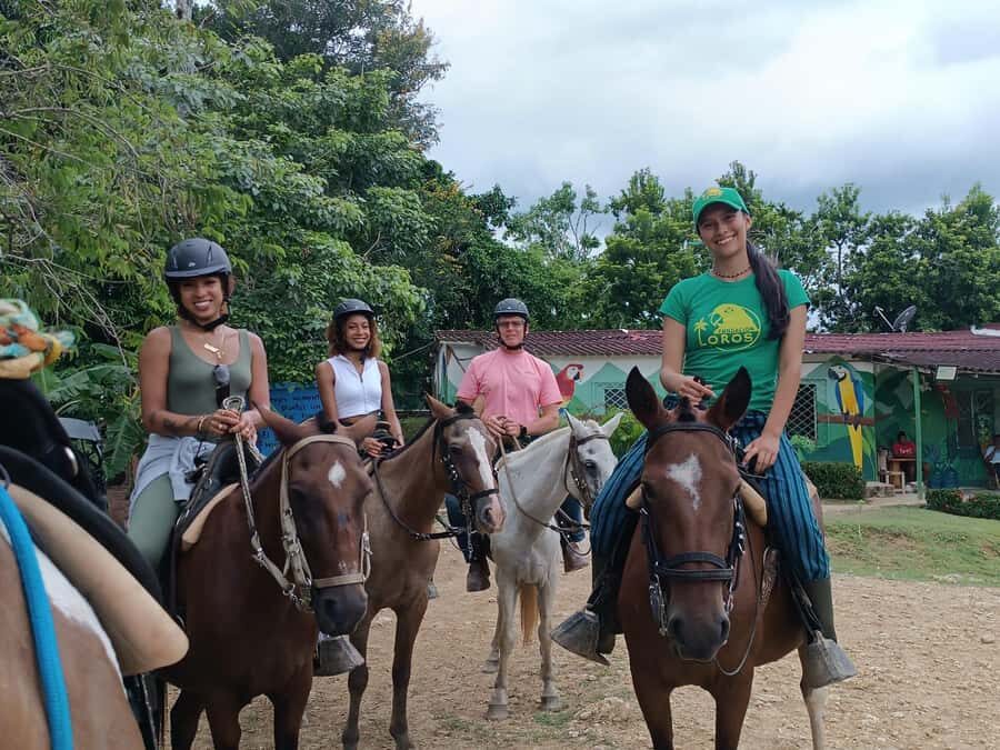 Scenic Horseback Ride in Tropical Mountain Reserve - Key Highlights You’ll Feel in Your Day