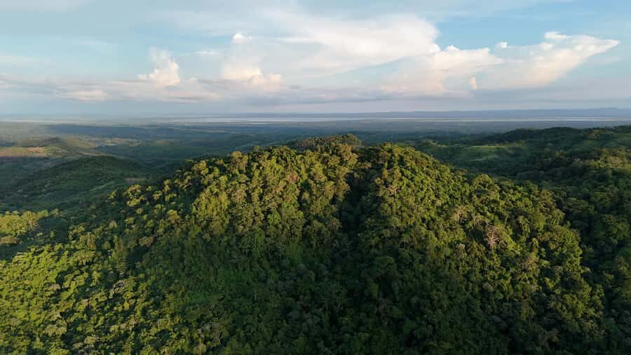Scenic Horseback Ride in Tropical Mountain Reserve - Fundación Loros: A Tropical Dry Forest Sanctuary Near Cartagena