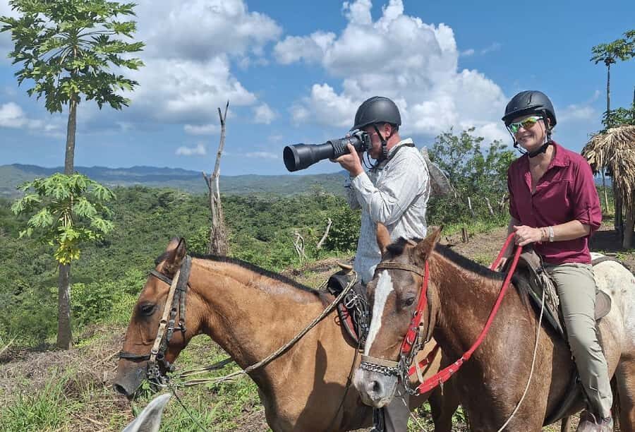 Scenic Horseback Ride in Tropical Mountain Reserve - Helping With Bird Rehab Prep (Without Touching the Animals)