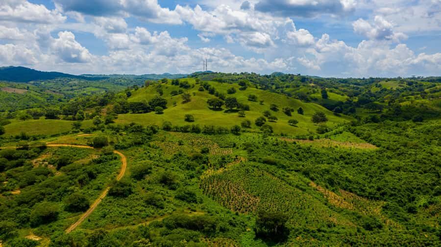 Scenic Horseback Ride in Tropical Mountain Reserve - The 1,000-Acre Horseback Ride: Skills, Terrain, and Mountain Views