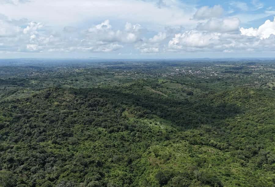 Scenic Horseback Ride in Tropical Mountain Reserve - Nature Hike Time: Biodiversity Encounters on Foot