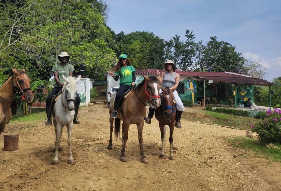 Scenic Horseback Ride in Tropical Mountain Reserve - UTV Views to Break the Day Up