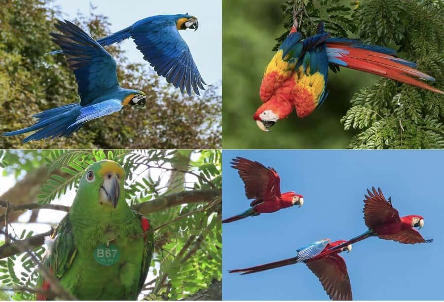 Scenic Horseback Ride in Tropical Mountain Reserve - Breakfast by the Lake and the Biologists’ Talk That Changes How You Look at Wildlife