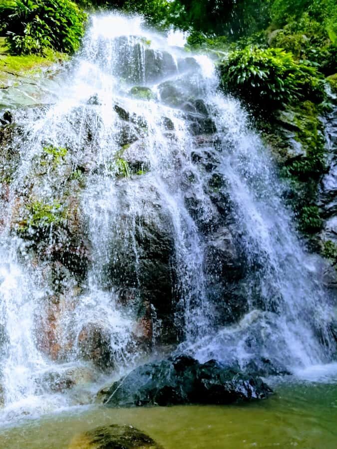 Sierra Minca Day Tour - Language and group size: who this tour fits best