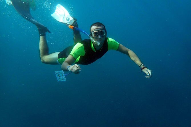 Snorkeling excursion in Isla de Tabarca - Santa Pola Start: the Padi Scuba Meeting Point and Gear Check