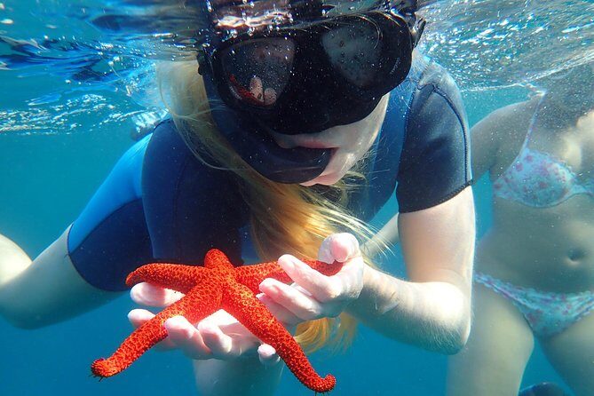 Snorkeling excursion in Isla de Tabarca - Equipment and Comfort: Mask, Tube, Fins, and Fit