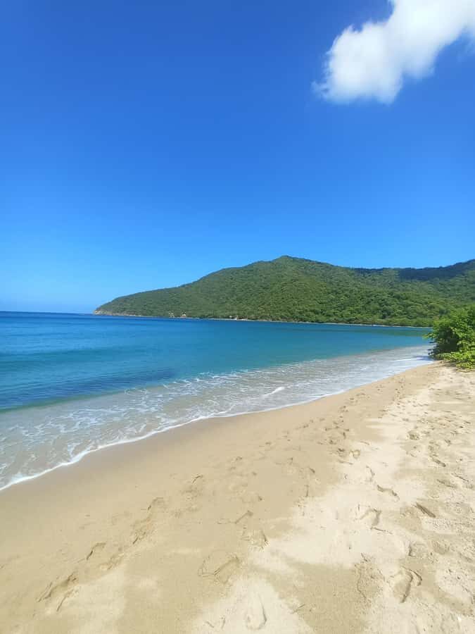 SPEEDBOAT TOUR TO TAYRONA CRISTAL BEACH - A day trip that’s all about the water and that calm beach