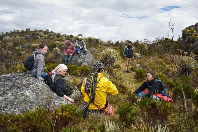Sumapaz Páramo Private Hike Tour - The day’s rhythm: pickup, the paramo hike, and heading back