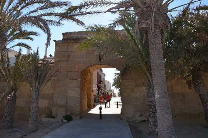 Taxi Boat Santa Pola to Tabarca Island - Key Things I’d Put on Your Radar Before You Go