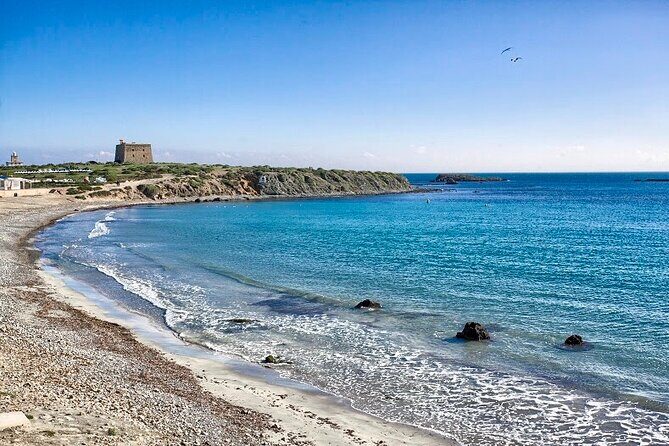Taxi Boat Santa Pola to Tabarca Island - The Taxi Boat Ride: Quick, Clear, and Not Complicated
