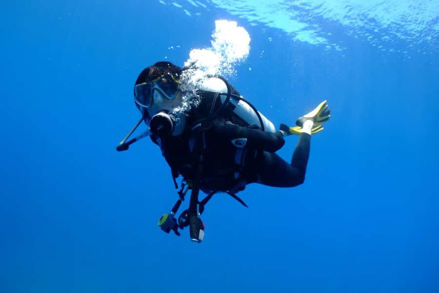 Tayrona National Park: Scuba Diving Tour for Beginners - What you’ll see under the sea around Tayrona National Park