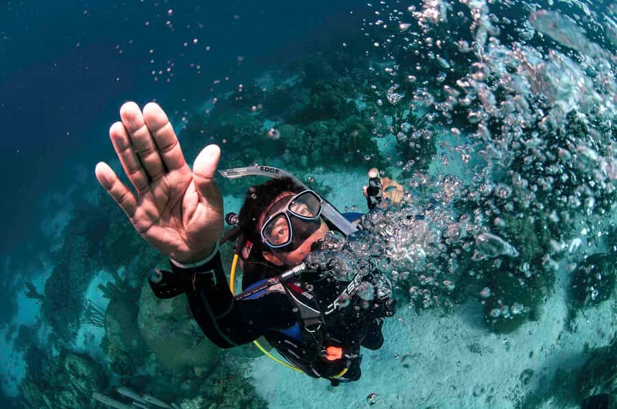 Tayrona National Park: Scuba Diving Tour for Beginners - Included snacks, photos, and why it feels like more than a lesson
