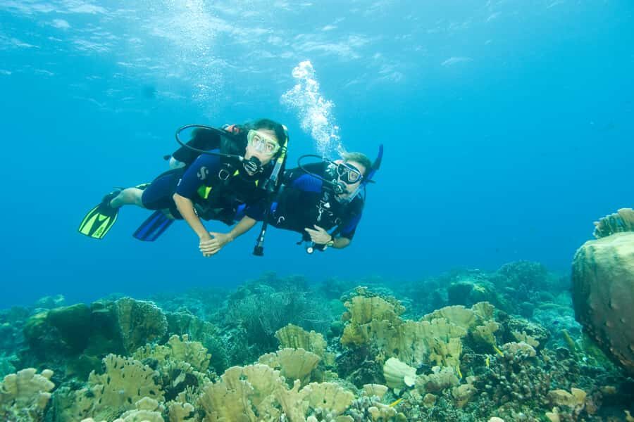 Tayrona National Park: Scuba Diving Tour for Beginners - Who should book this beginner course (and who should skip it)