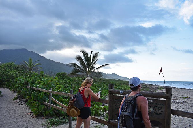 Tayrona Park Hike And Beach Day - El Zaino Setup and the First Walk: Start Smooth, Then Get to Nature