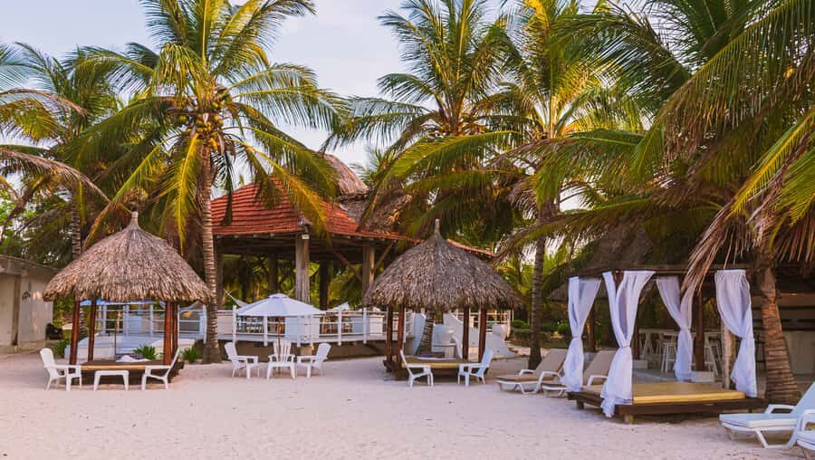 Tierra Bomba Island: A day at Marine Beach Club - Timon Plan vs Marine Plan: what changes (and what doesn’t)