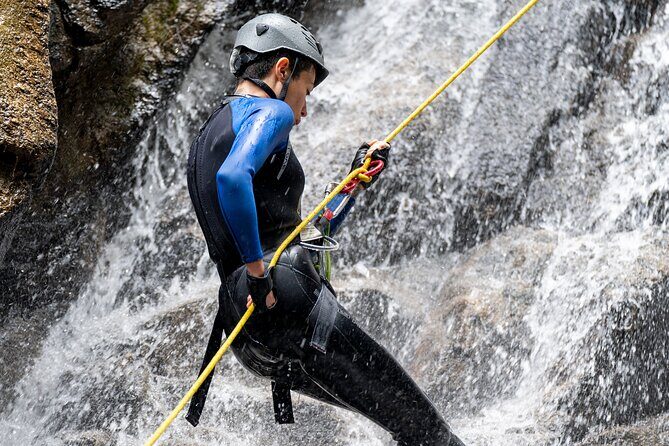 Torrentism in Medellín - Optional Tree Climbing Warm-Up: Fun Extra With an Extra Cost