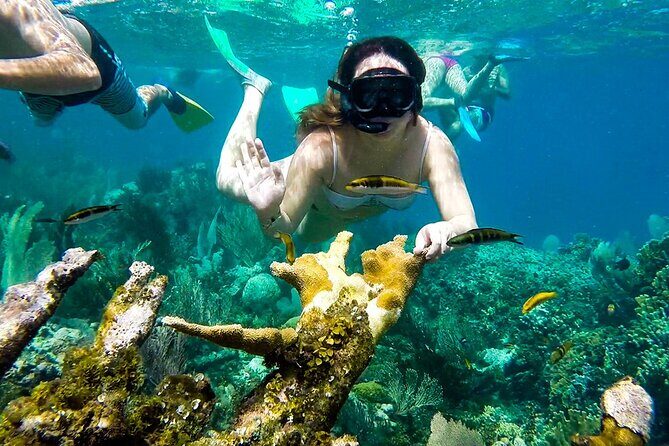 Tour of the Rosario Islands, Cartagena - Price and What Actually Adds Up