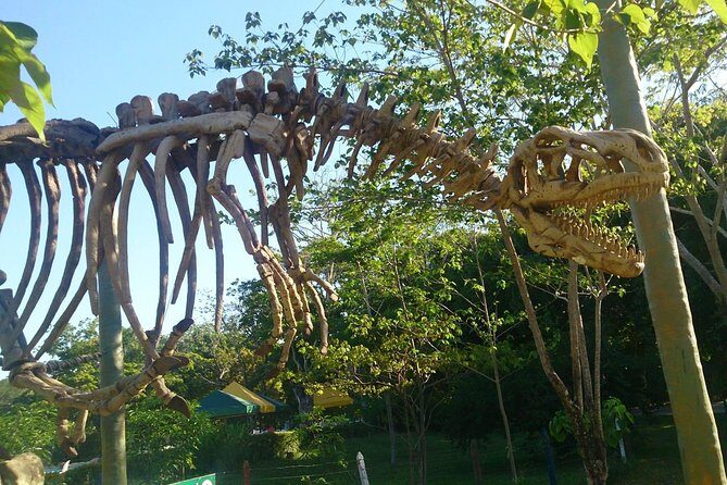 Tour to the Hacienda Nápoles Theme Park - Feline Habitat, Monkey Island, and Meerkat Habitat